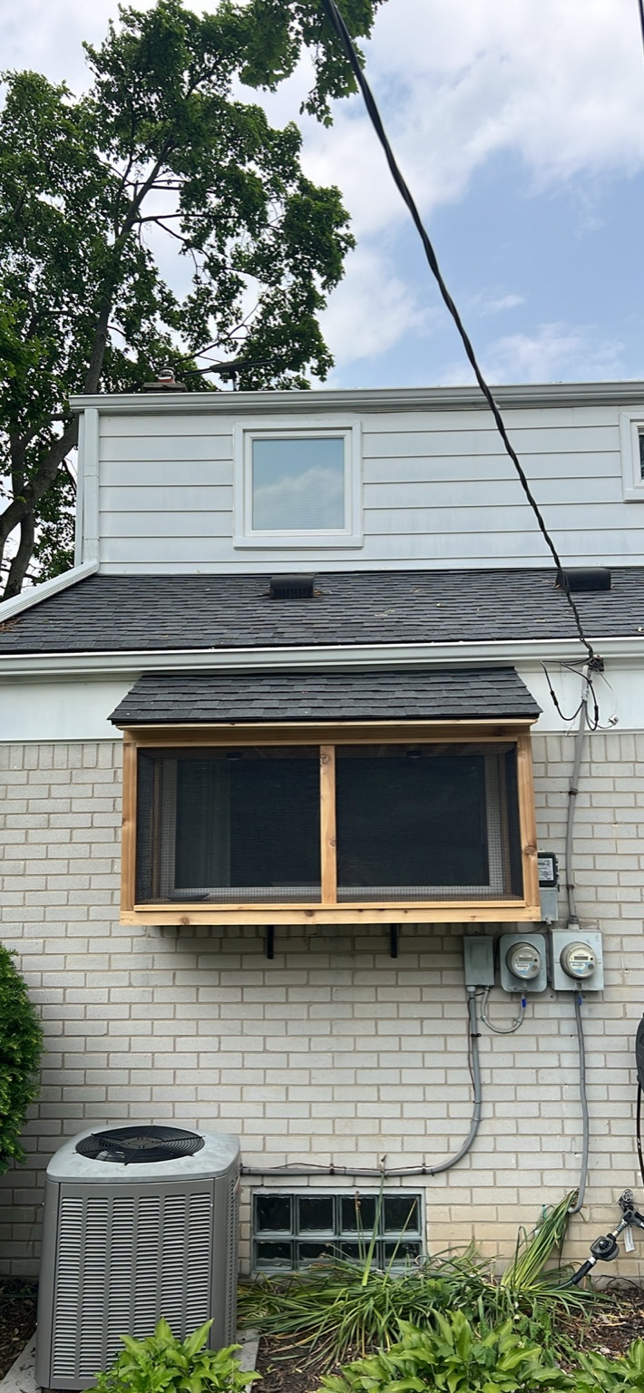 Catio project 1