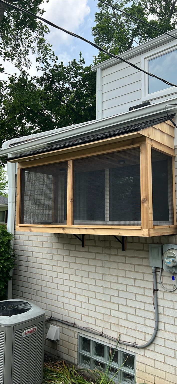 Catio project 2