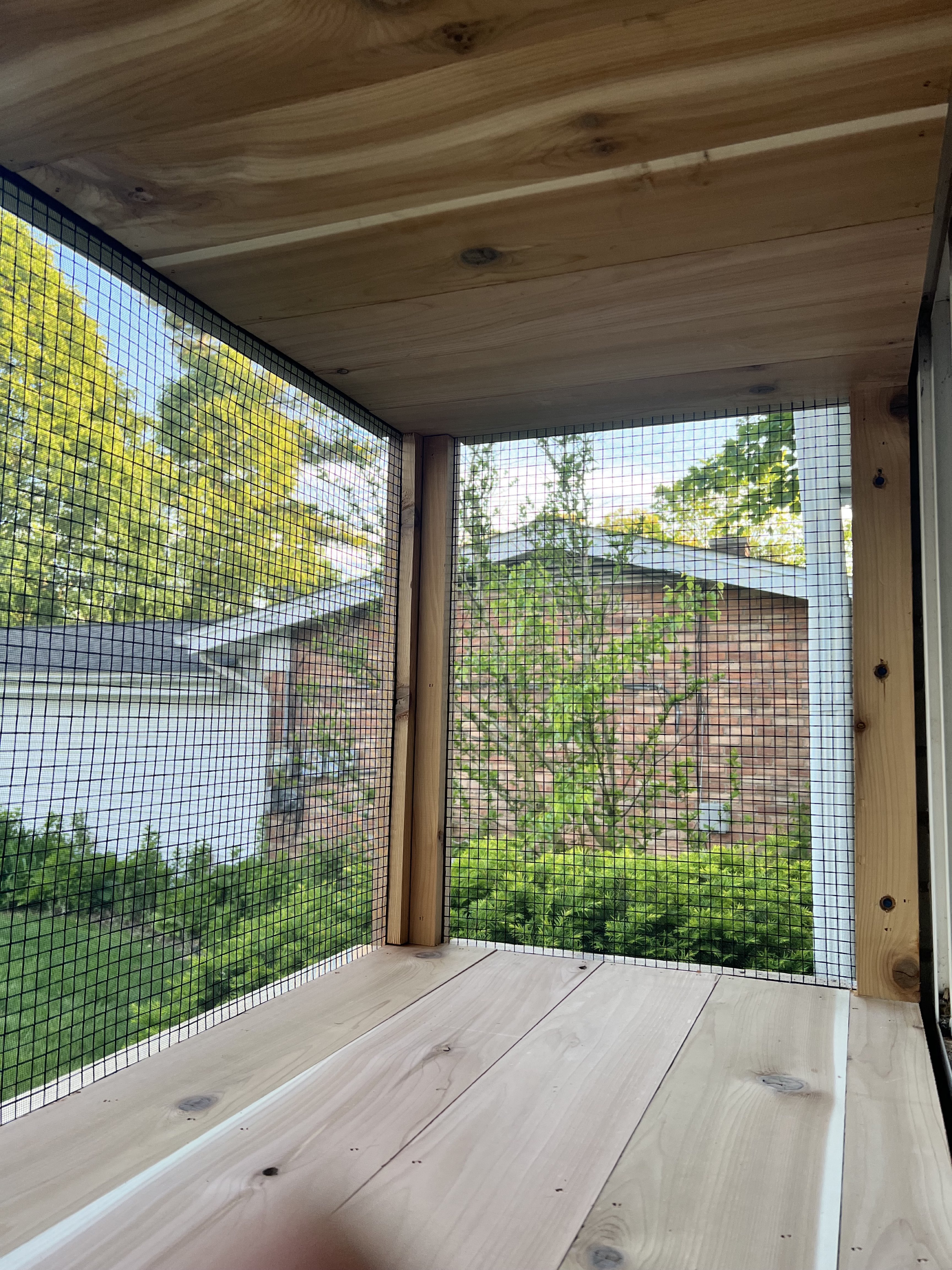 Catio project 3